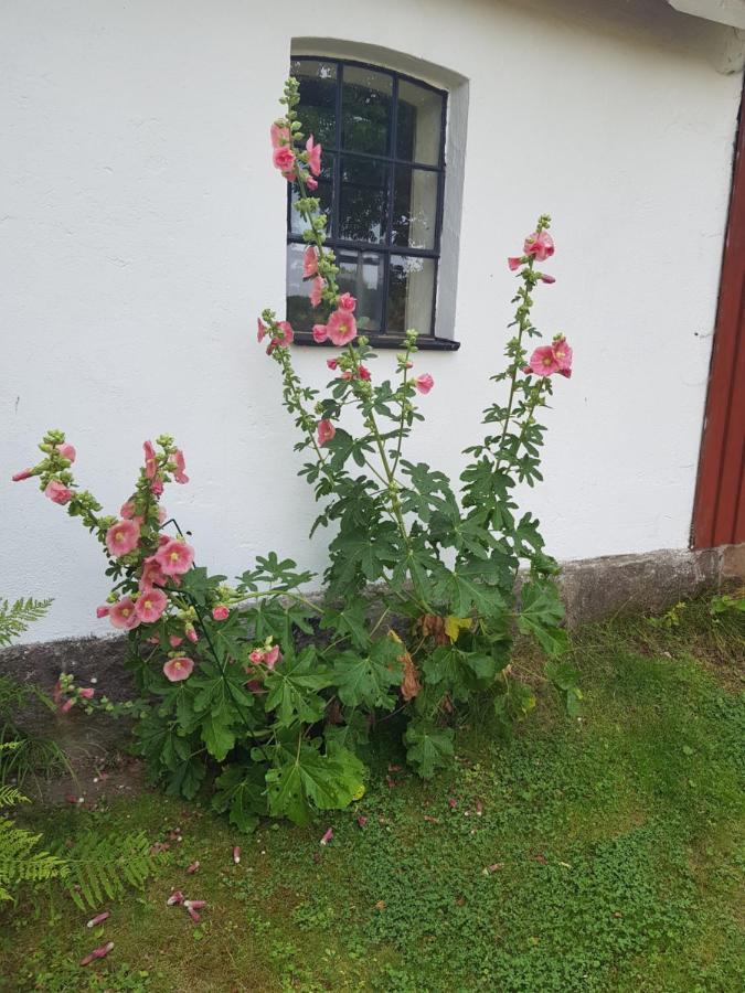 4B Oesterlen Bed & Breakfast Tomelilla Extérieur photo